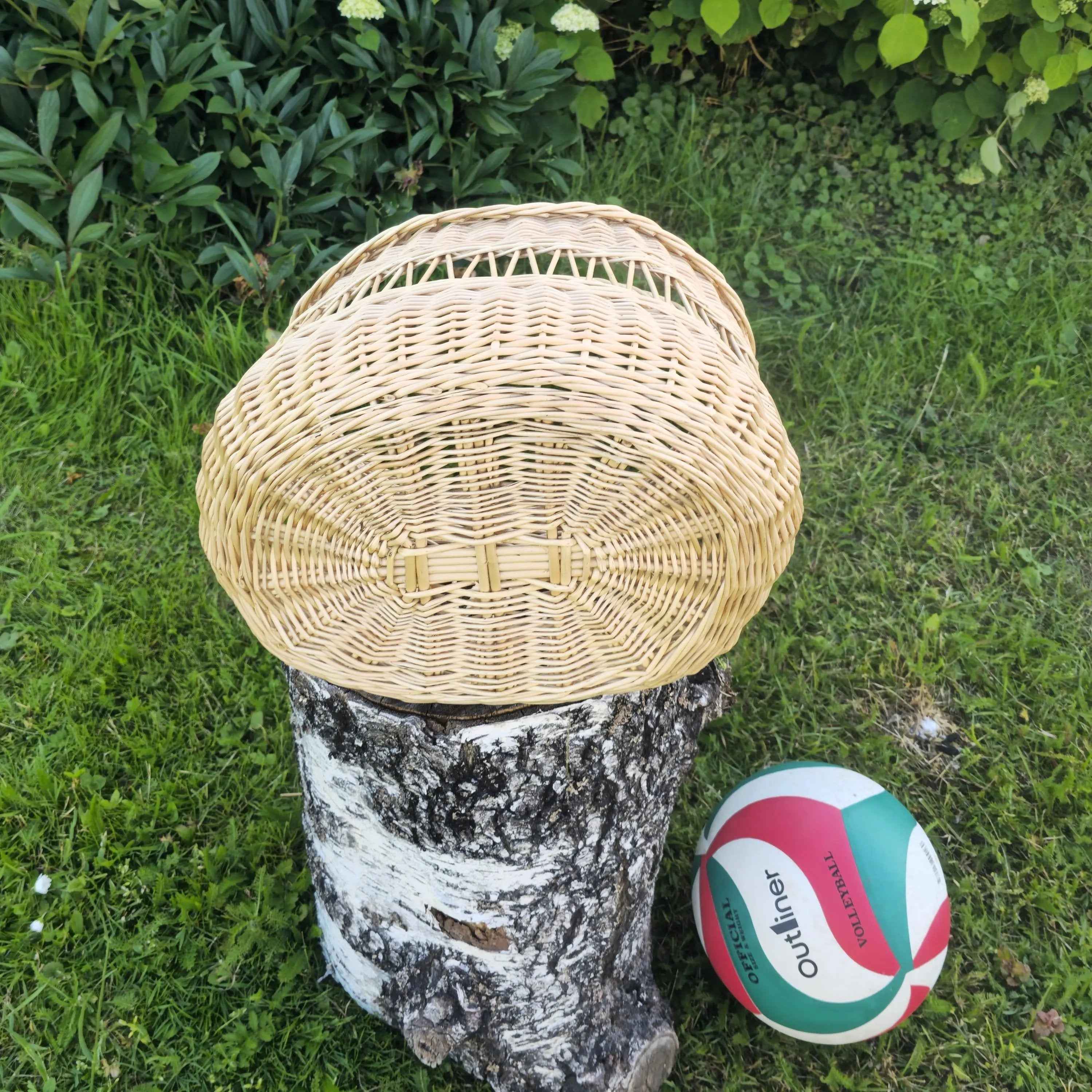Aukšta sodo pintinė — vytelių pintinė, 6 nuotrauka