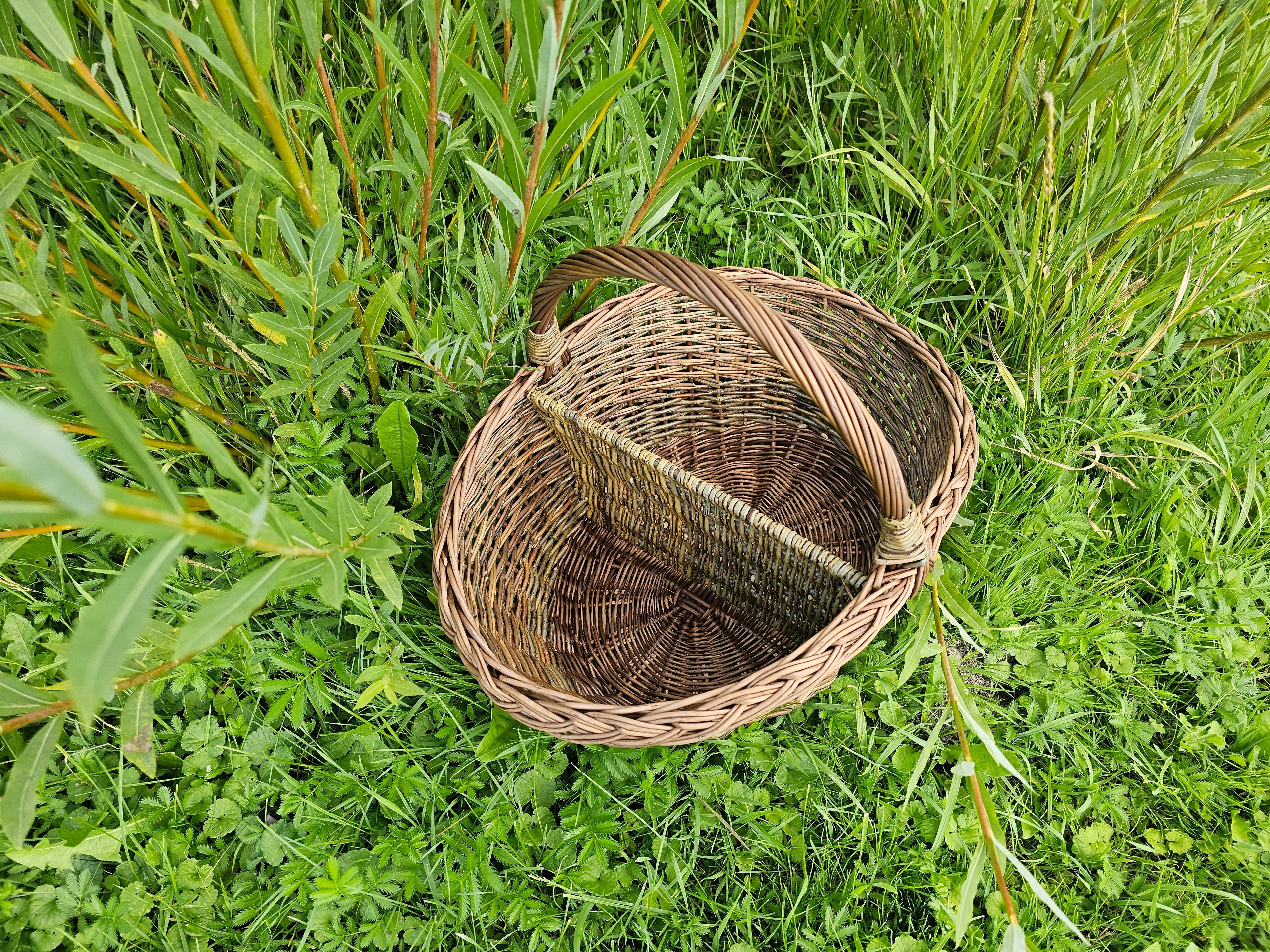 Dvispalvė iškylų pintinė su pertvara — pikniko pintinė, 15 nuotrauka
