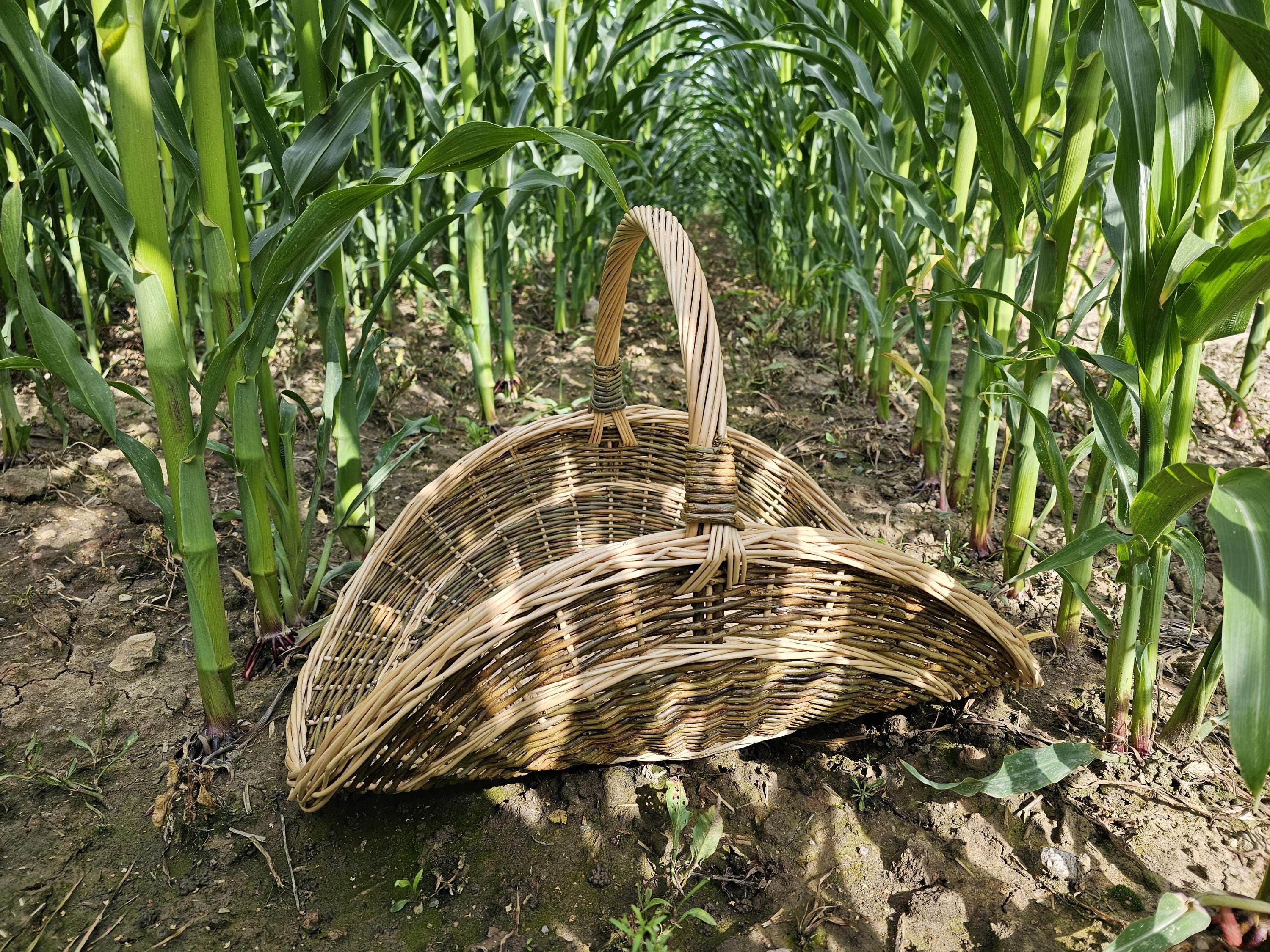 Didelė gėlių pintinė iš nežievintos vytelės — gėlių pintinė, 10 nuotrauka
