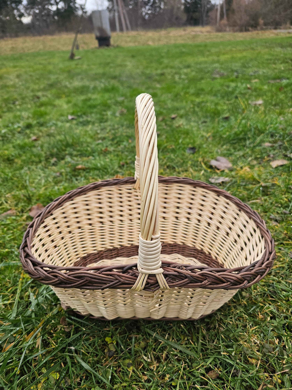 Wicker basket 020b - NaturelyWoven wicker - handmade