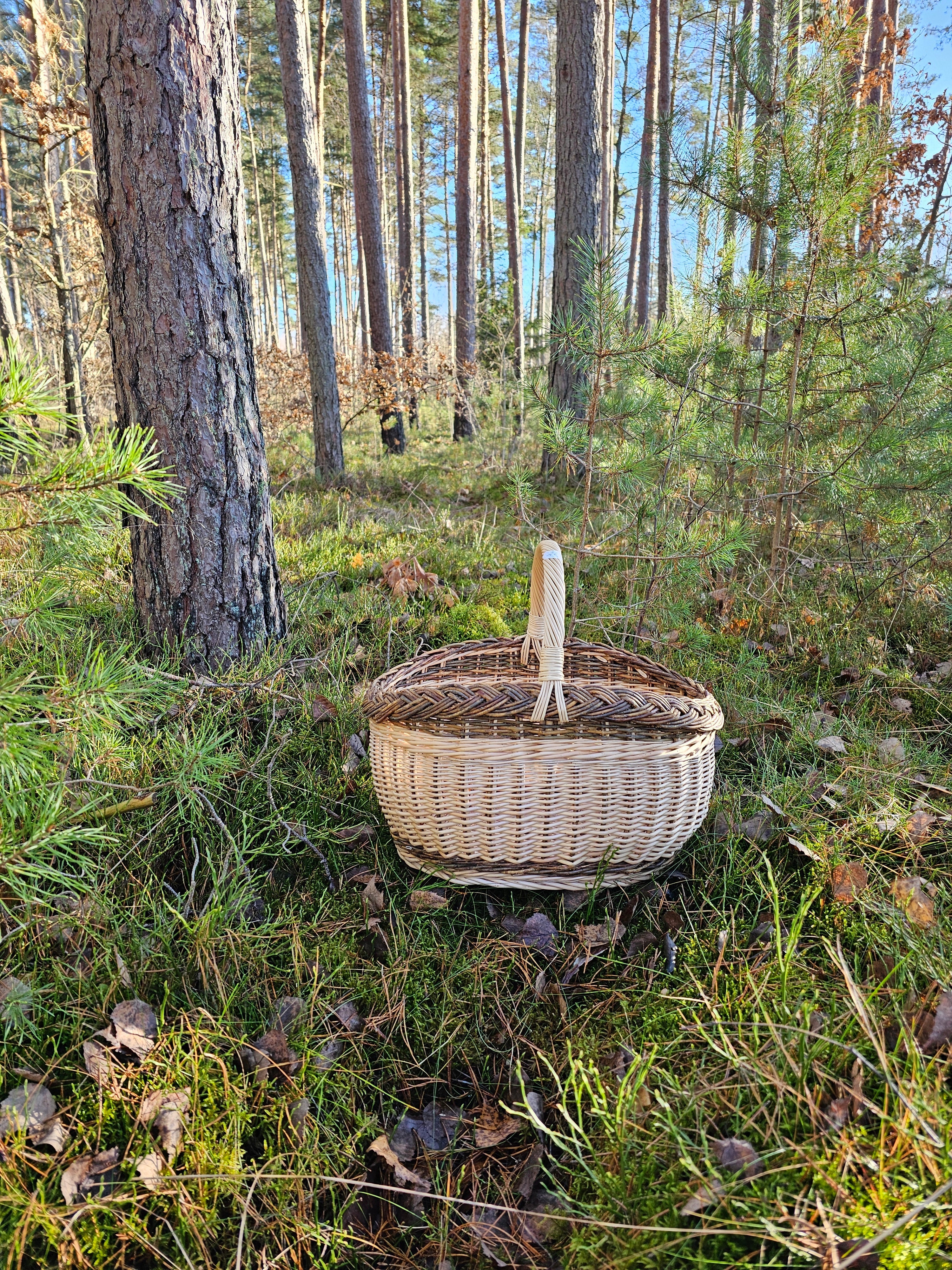 Wicker basket 026r - NaturelyWoven