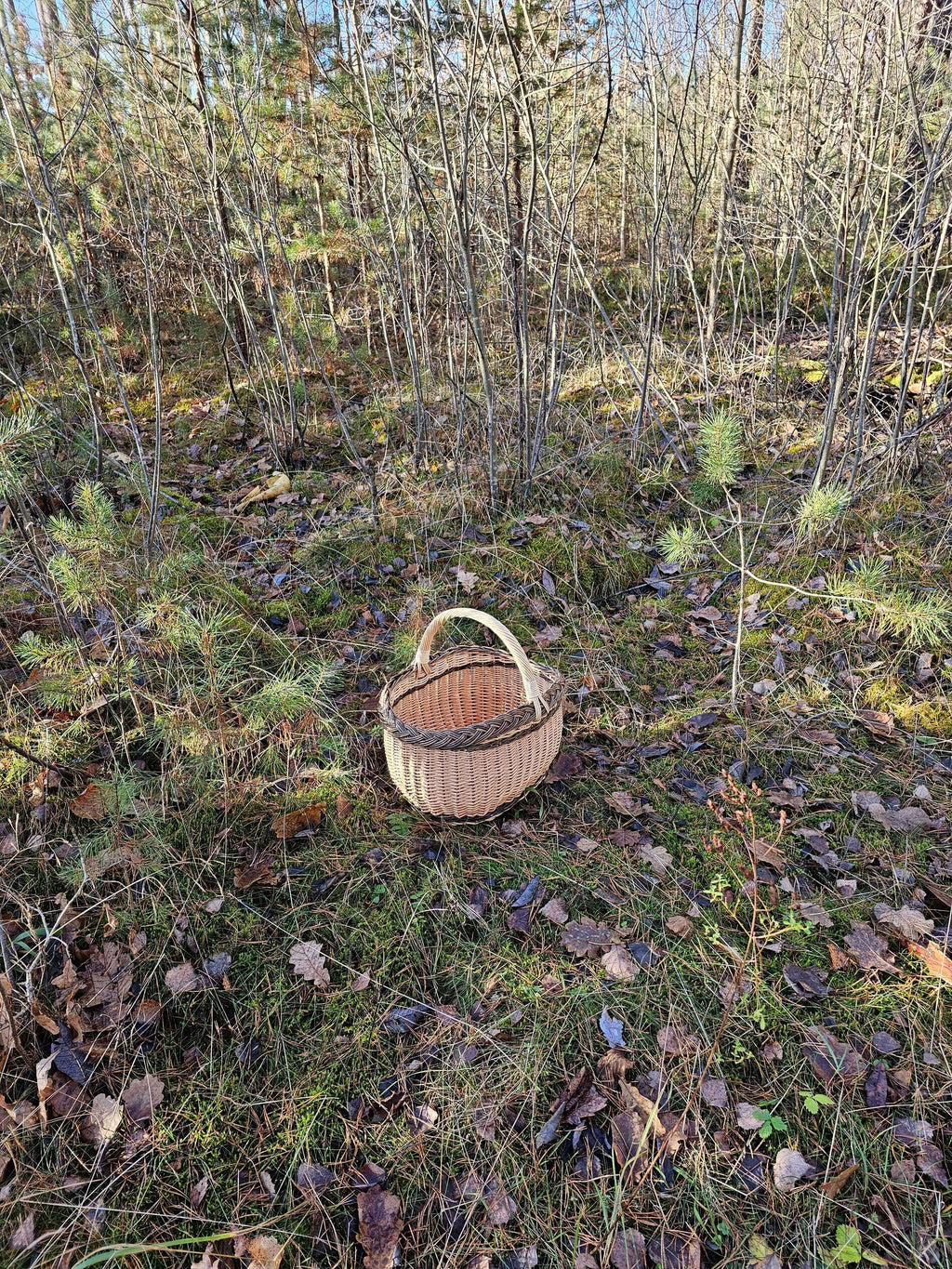 Wicker basket 026r - NaturelyWoven wicker - handmade
