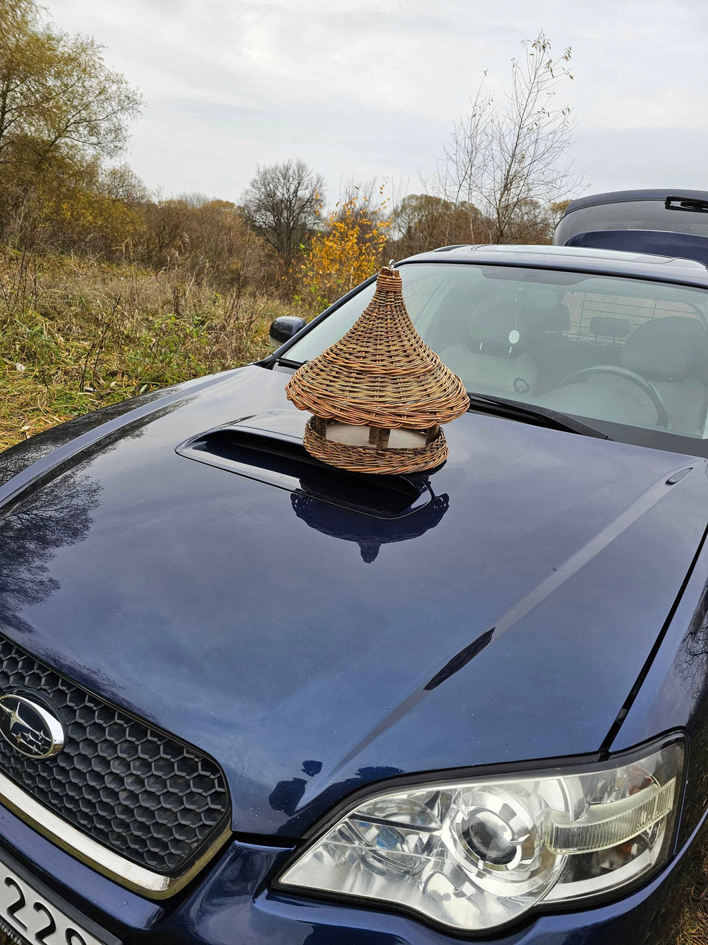 Wicker bird feeder 016b - NaturelyWoven wicker - handmade