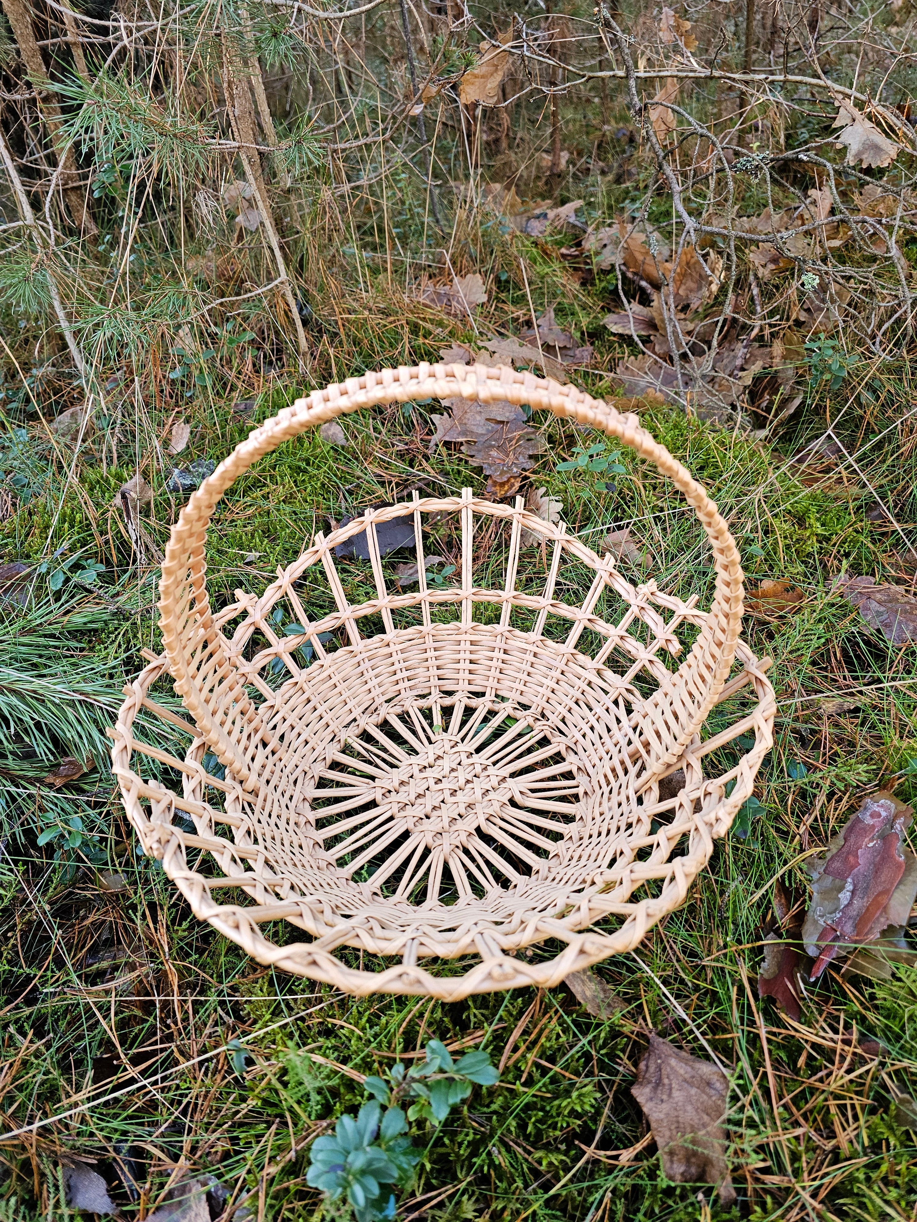 Wicker Display Tray 002r - NaturelyWoven