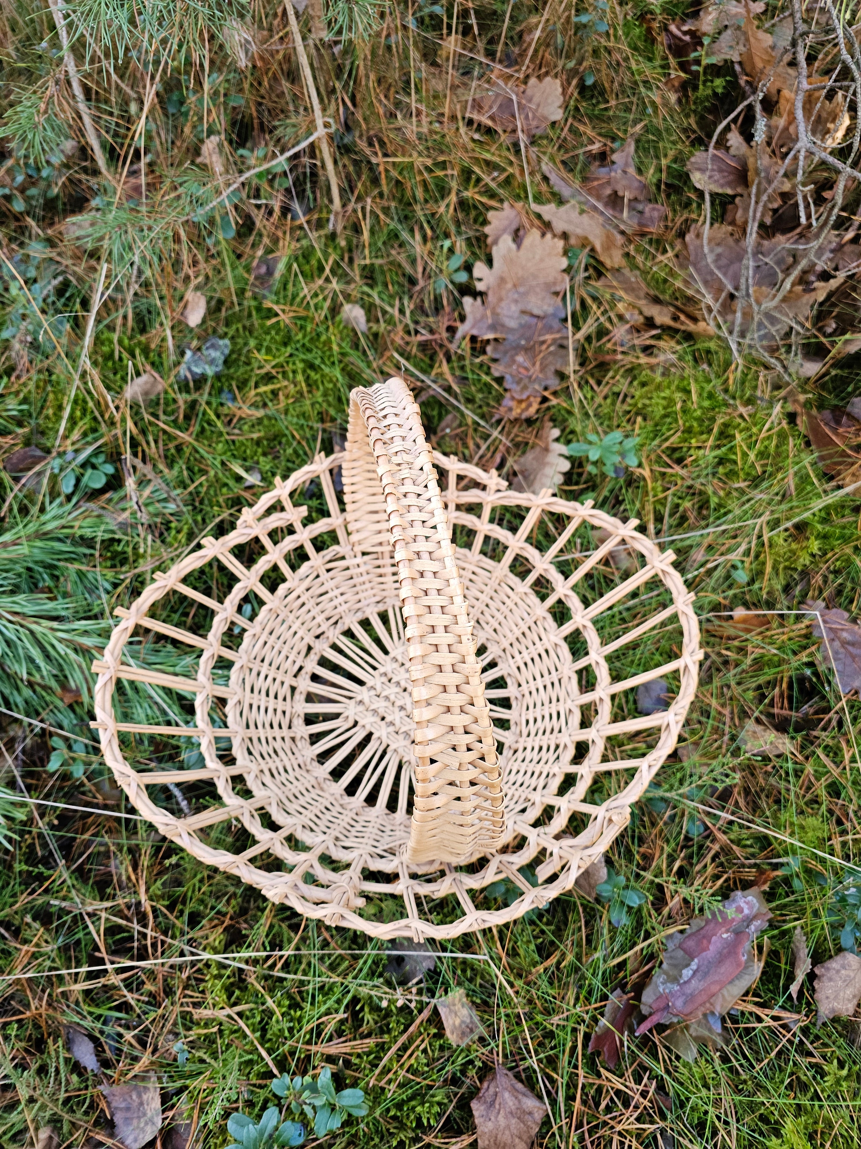 Wicker Display Tray 002r - NaturelyWoven