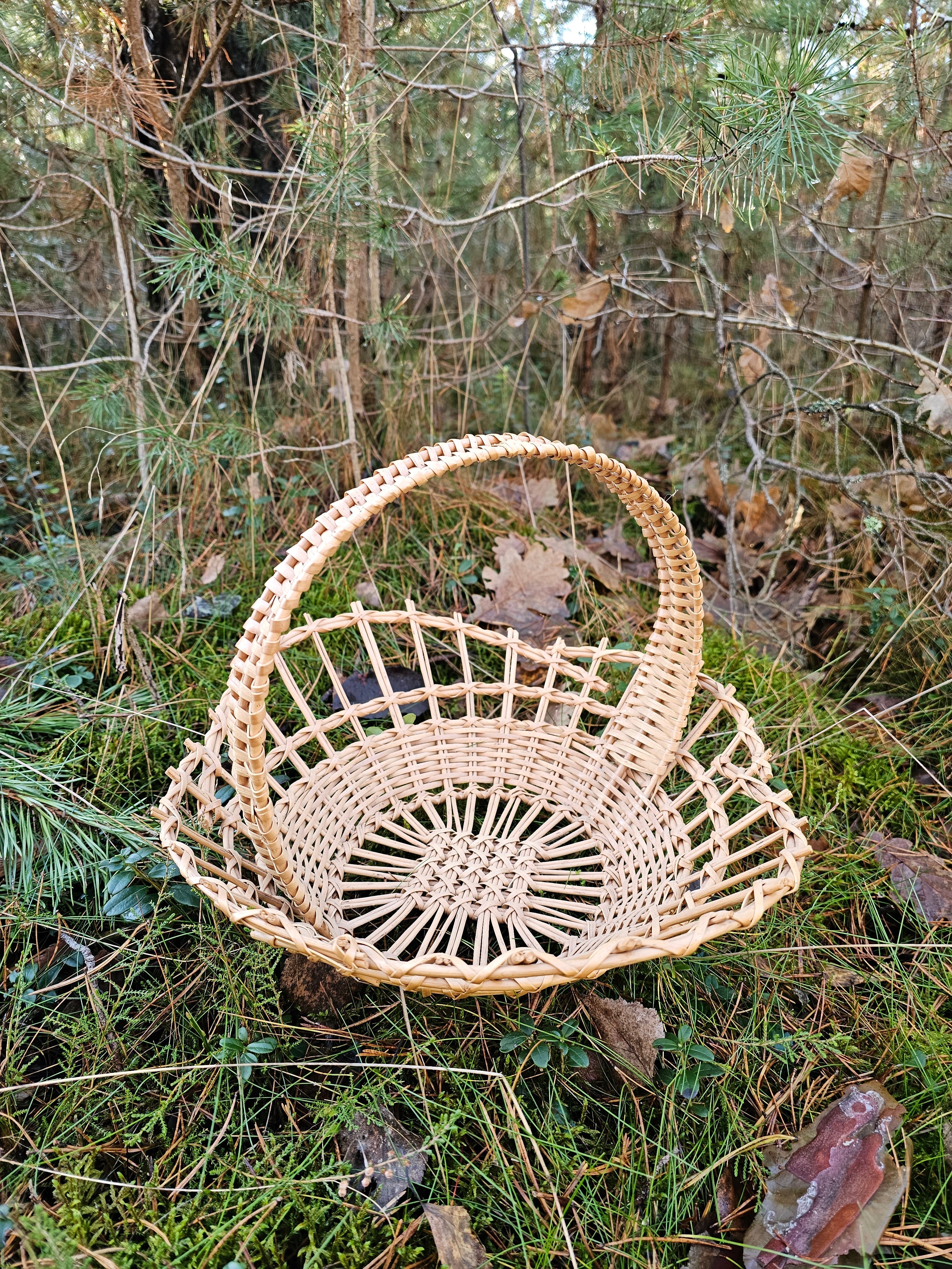 Wicker Display Tray 002r - NaturelyWoven