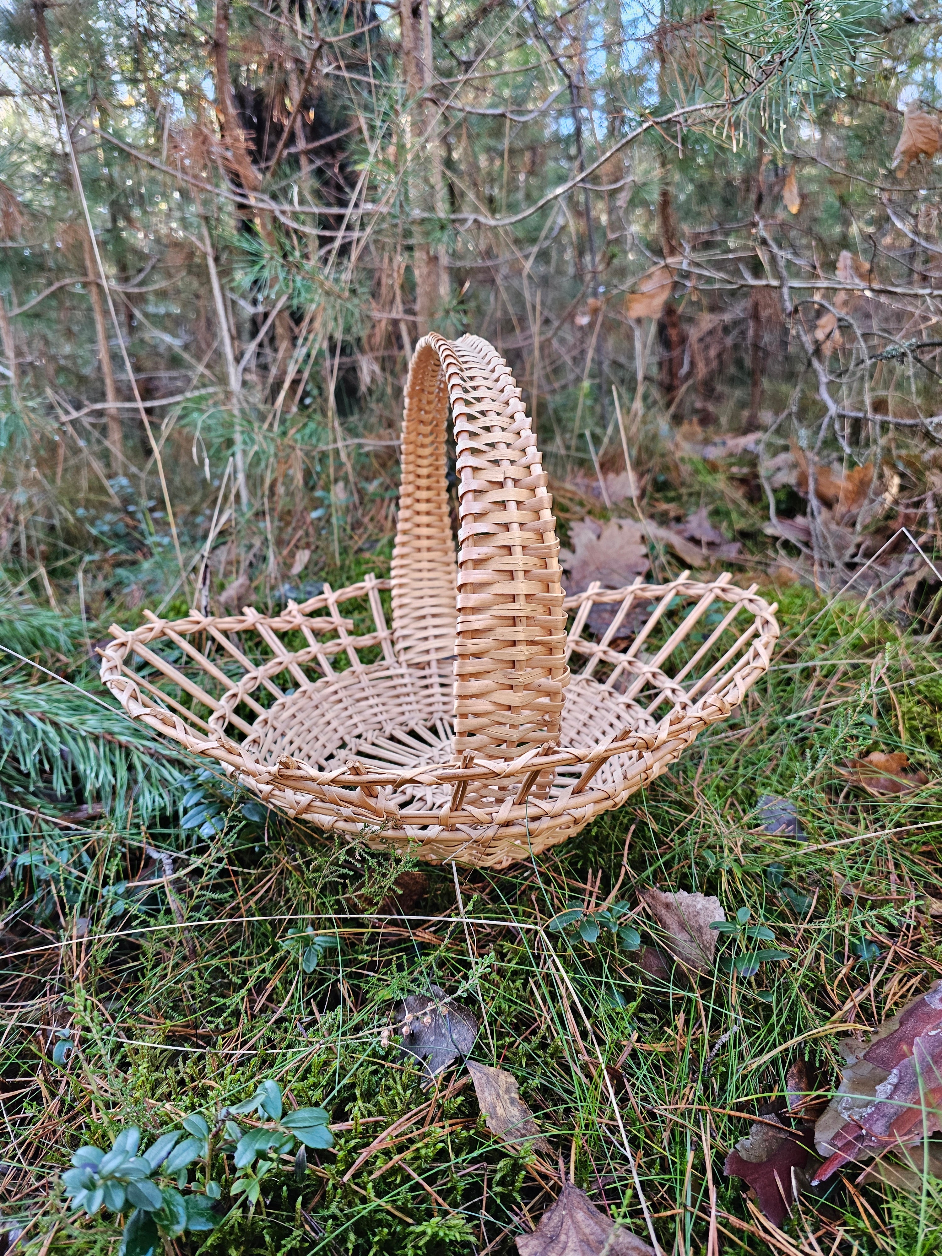 Wicker Display Tray 002r - NaturelyWoven