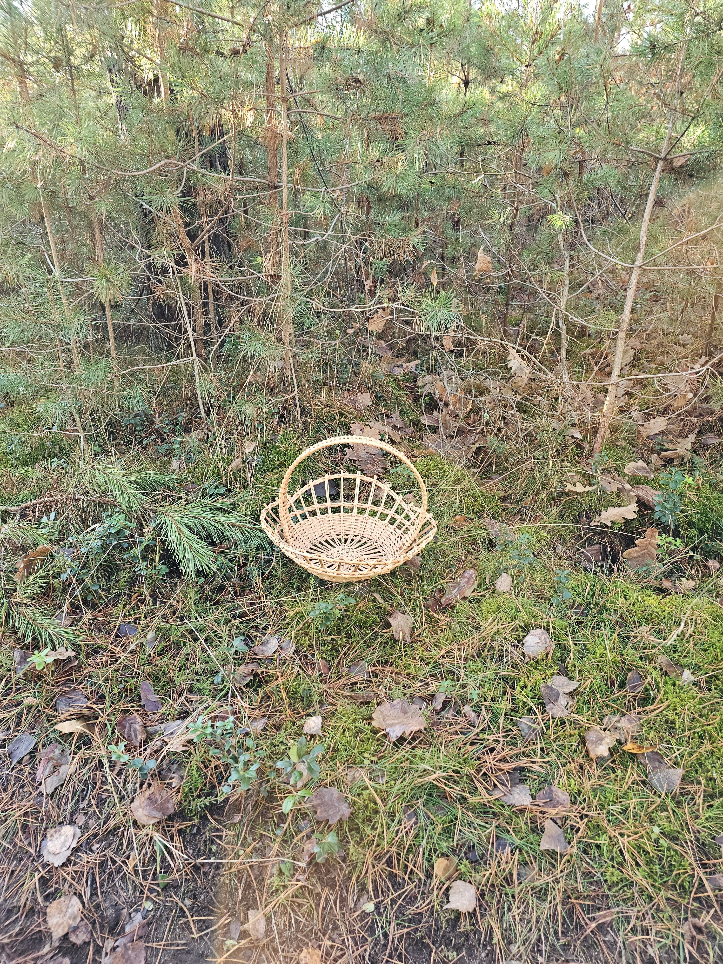 Wicker Display Tray 002r - NaturelyWoven