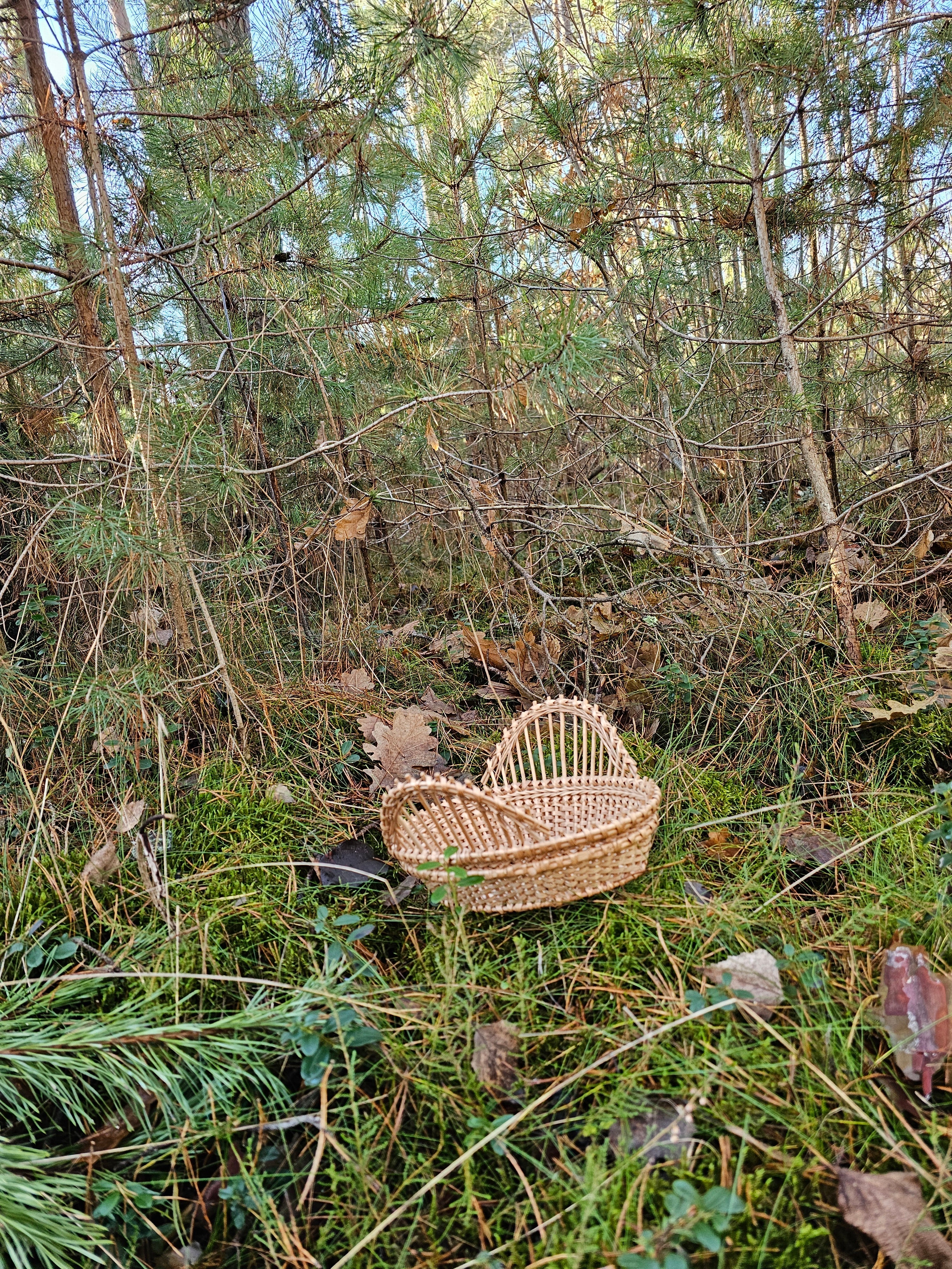 Wicker Display Tray 037r - NaturelyWoven