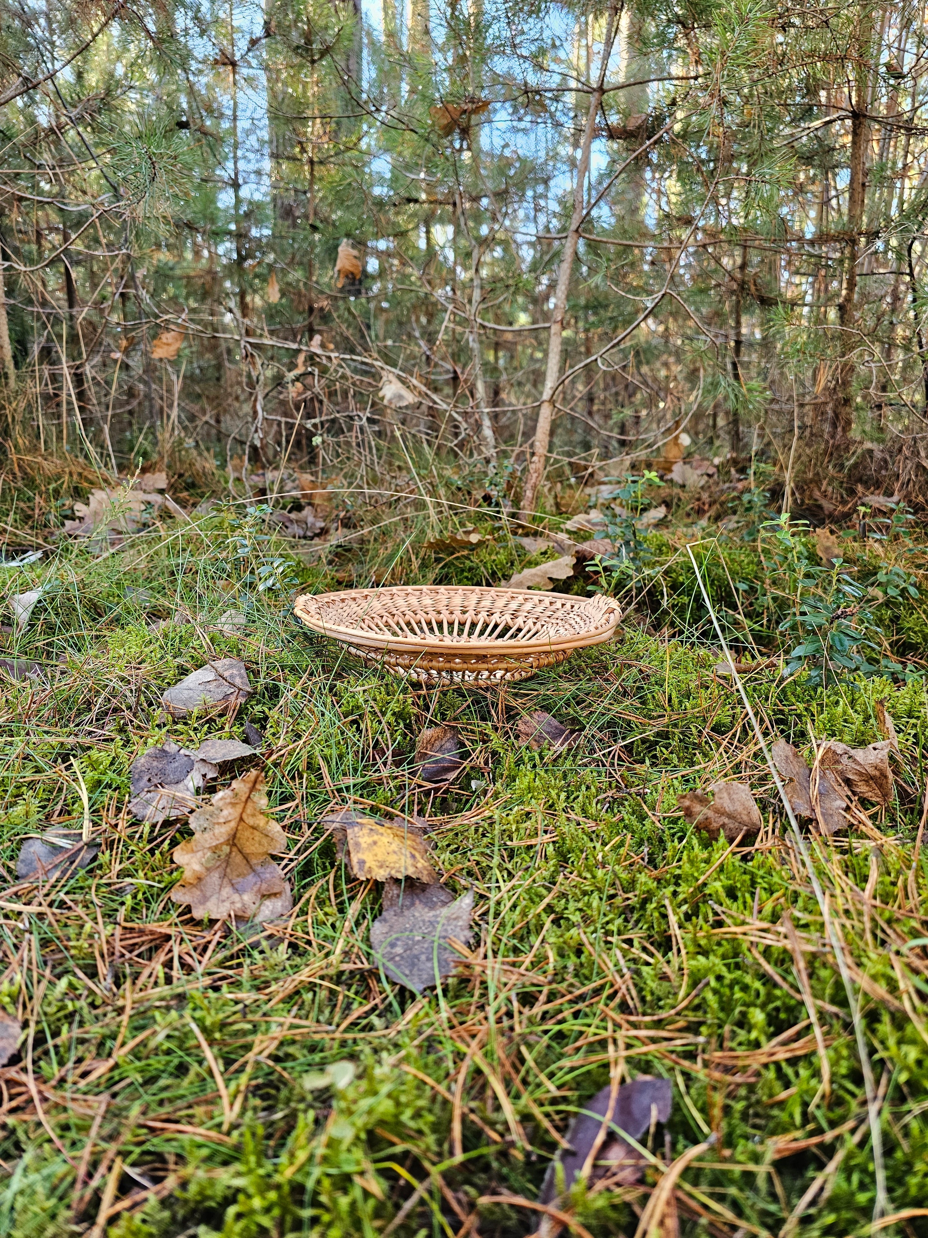 Wicker Display Trays 038r - NaturelyWoven