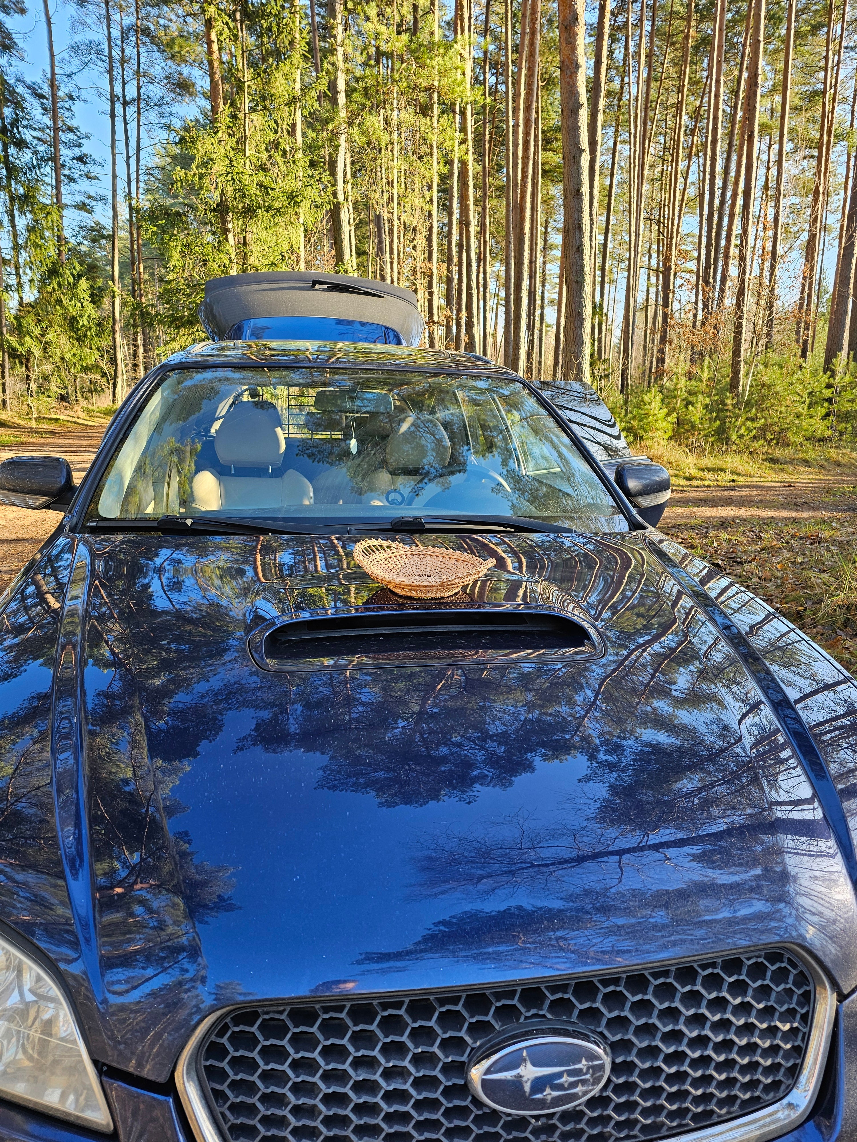 Wicker Display Trays 038r - NaturelyWoven