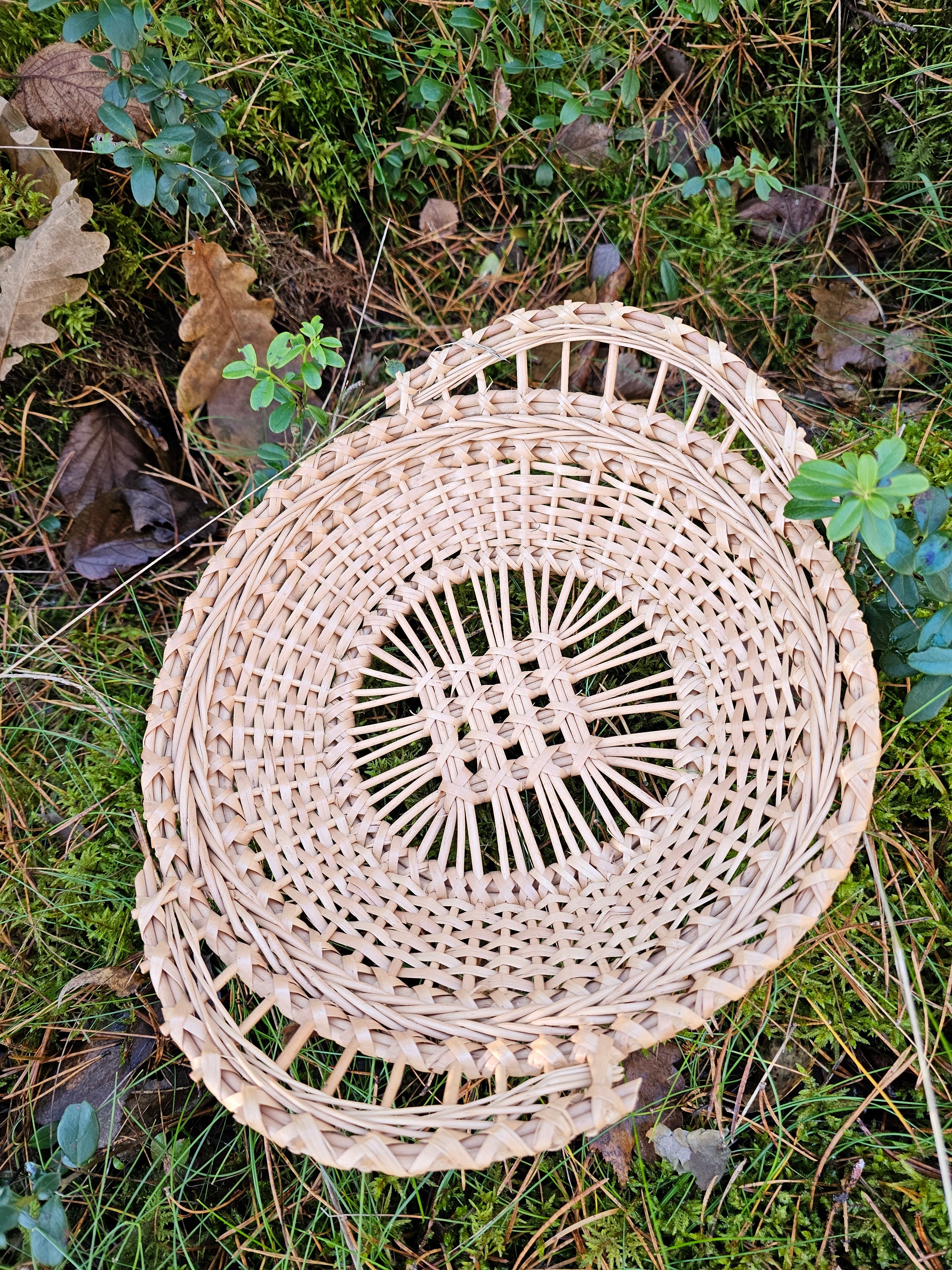 Wicker Display Trays 038r - NaturelyWoven