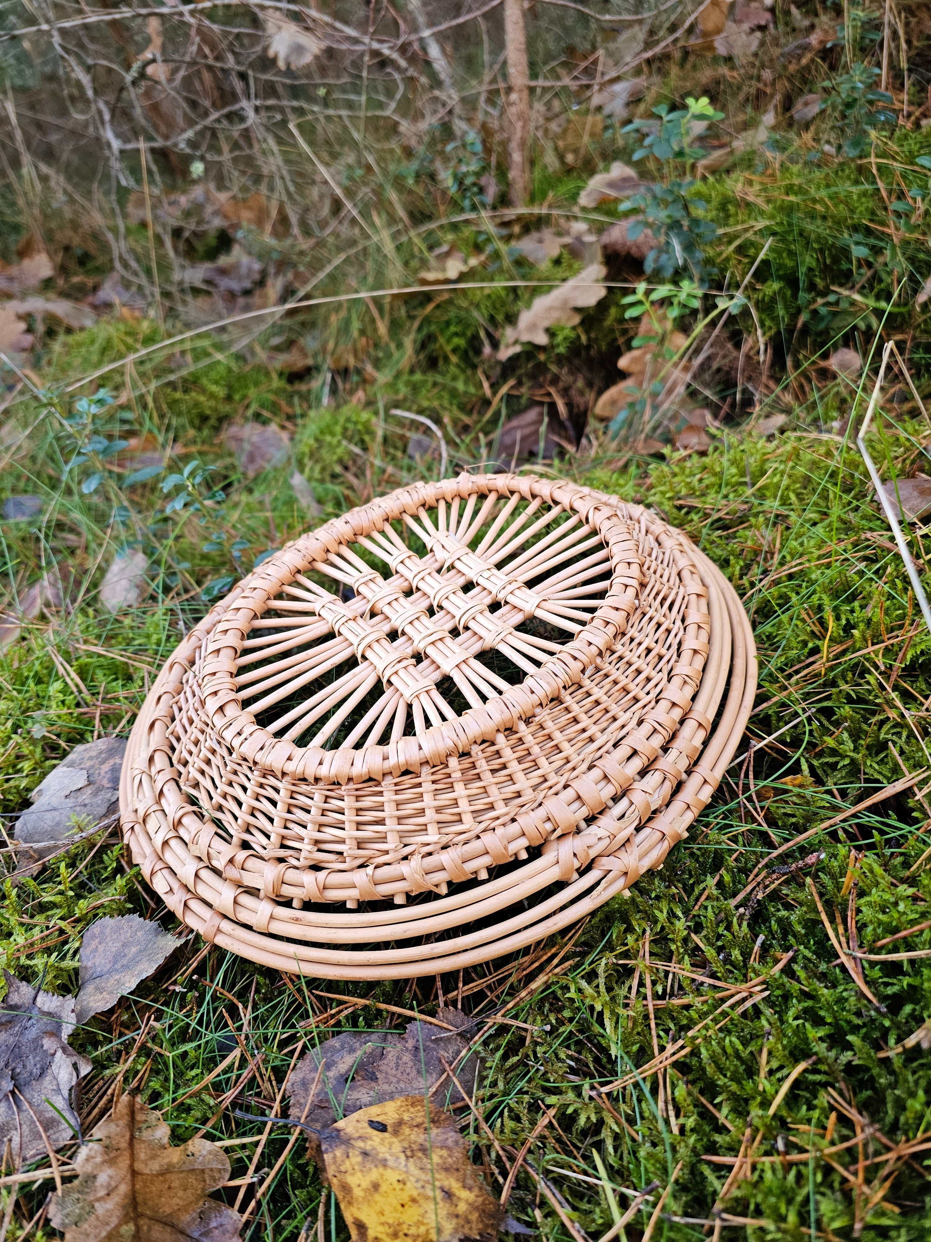 Wicker Display Trays 038r - NaturelyWoven