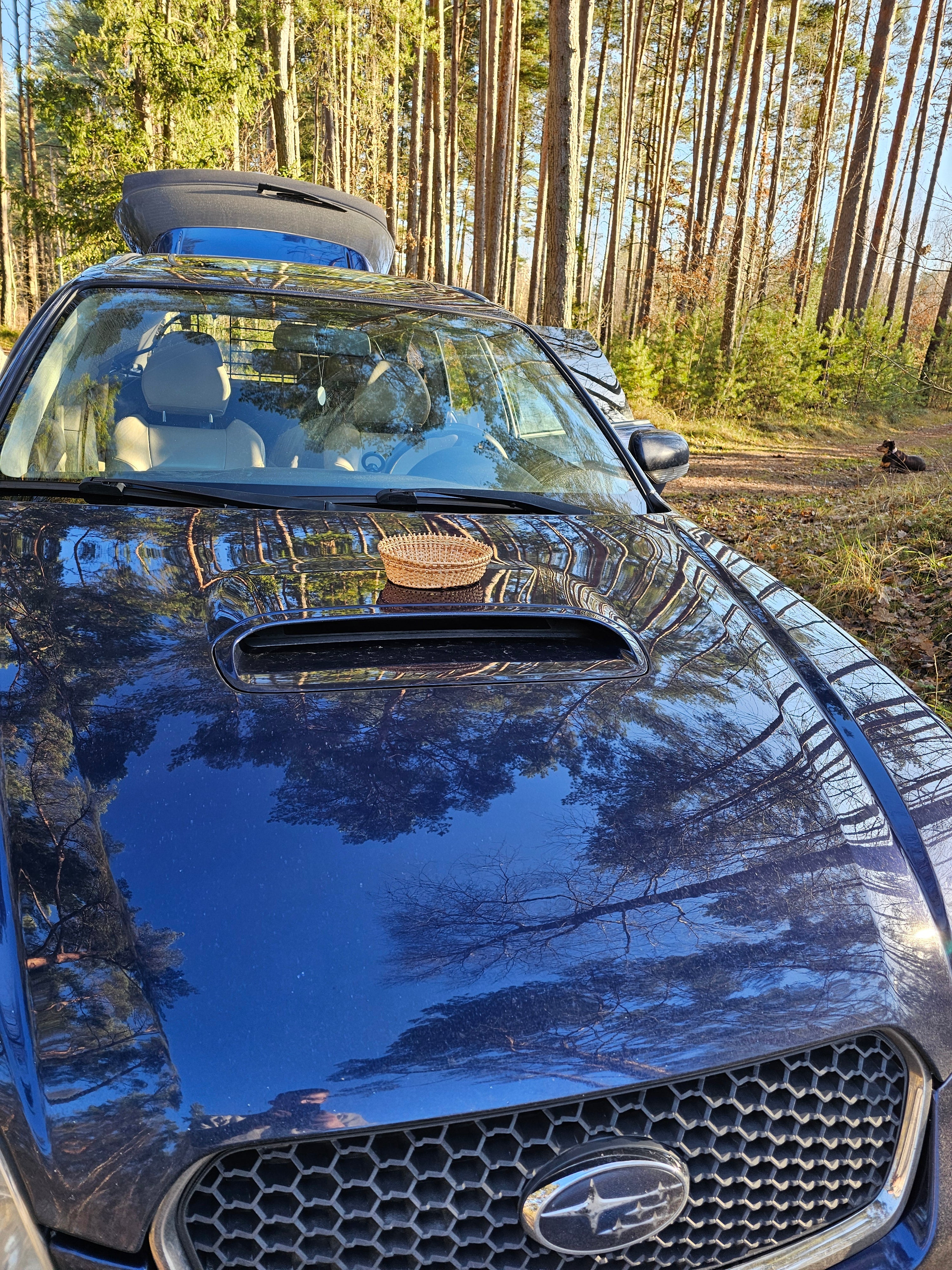 Wicker Display Trays 038r - NaturelyWoven