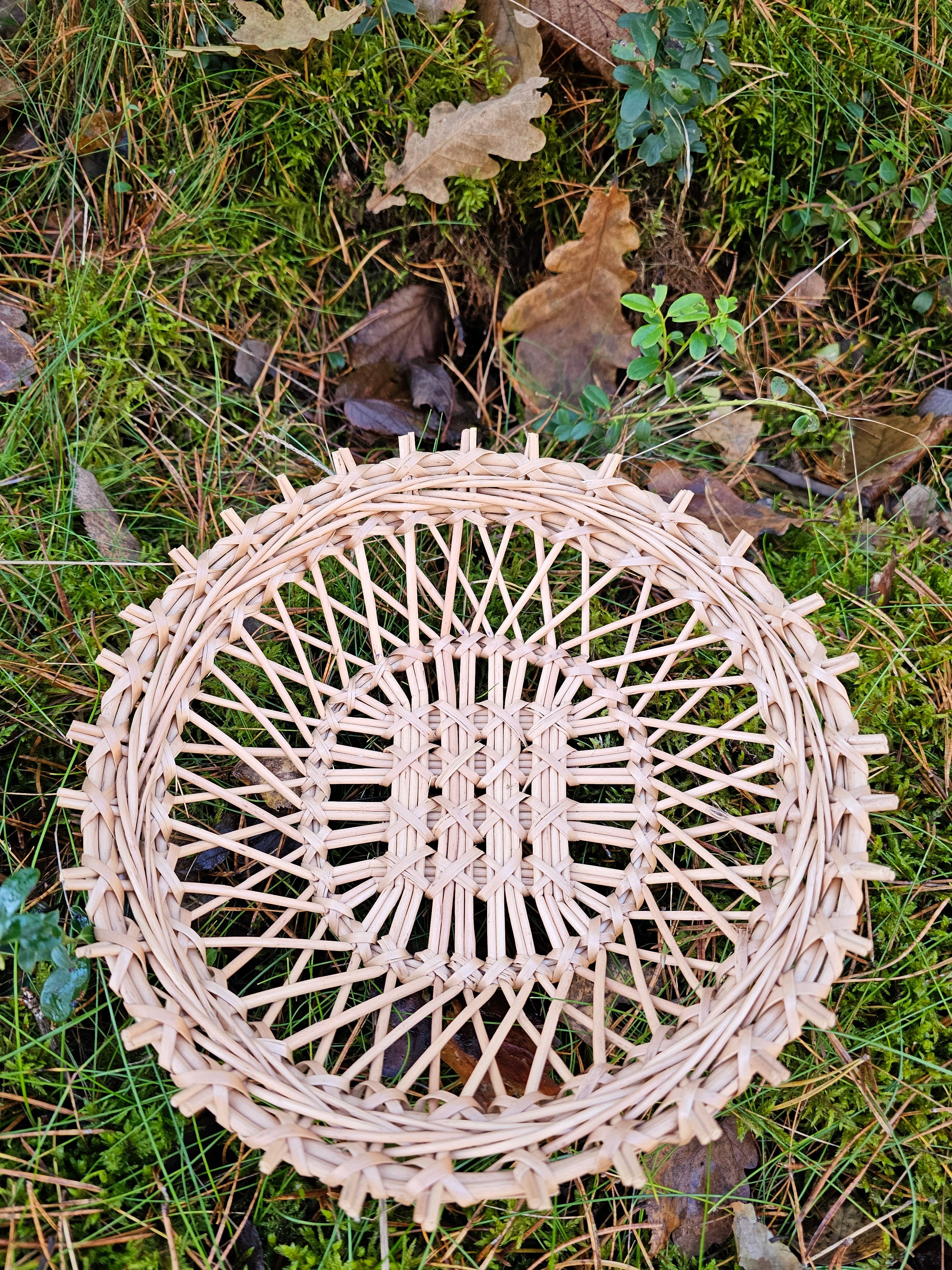 Wicker Display Trays 038r - NaturelyWoven