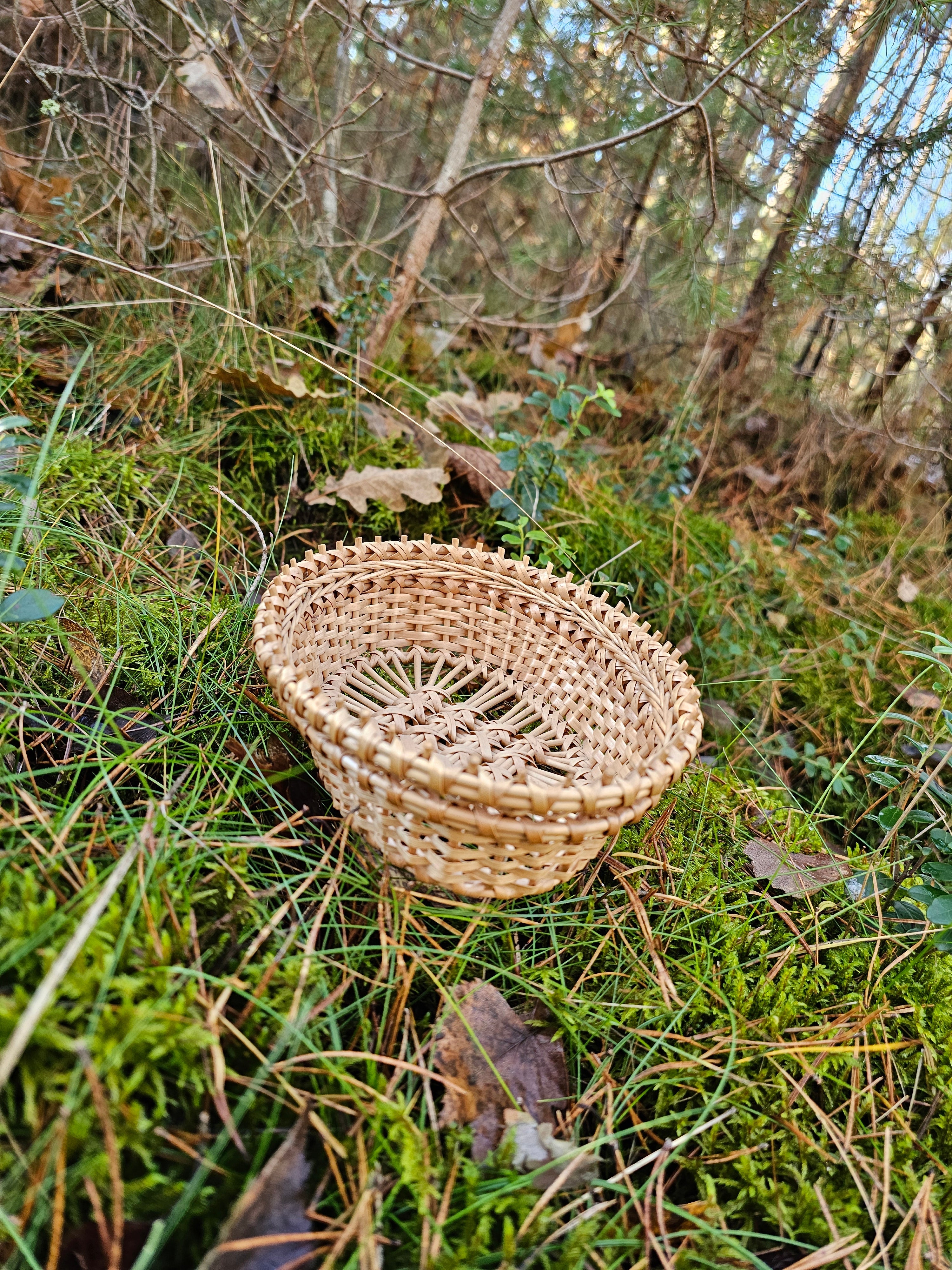 Wicker Display Trays 038r - NaturelyWoven