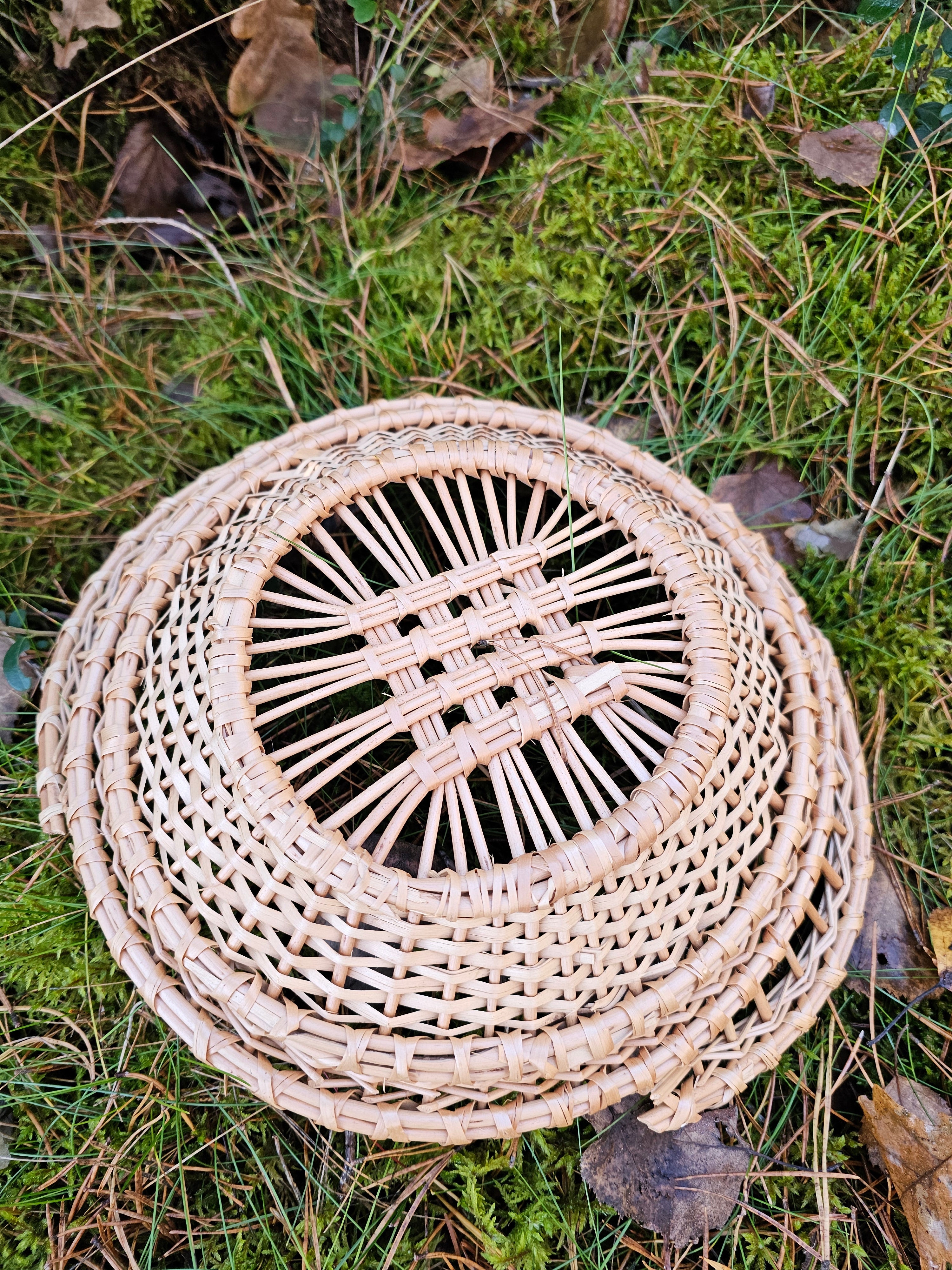 Wicker Display Trays 038r - NaturelyWoven