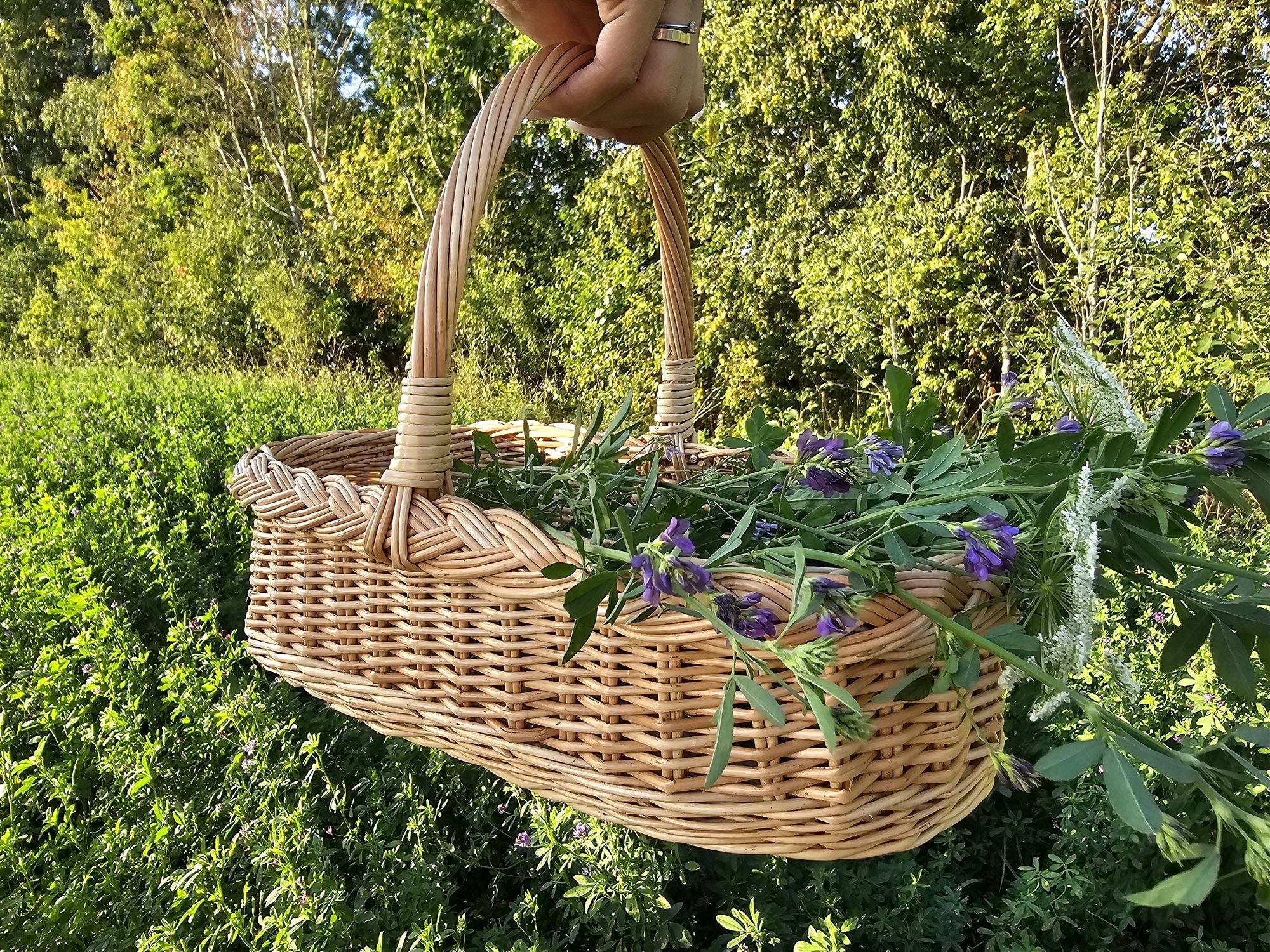 Sodo pintinė su rankena — vytelių pintinė, 5 nuotrauka