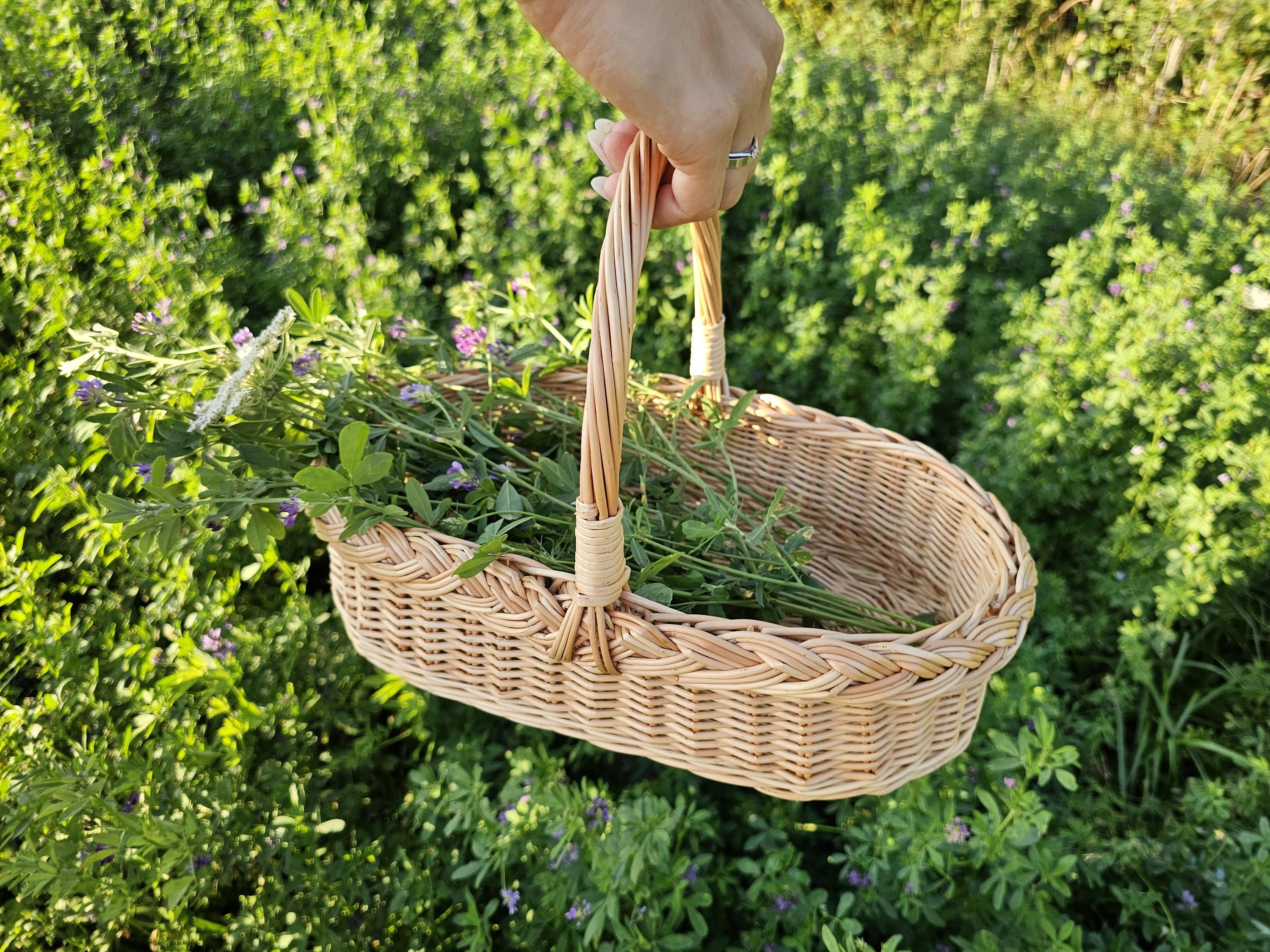 Sodo pintinė su rankena — vytelių pintinė, 13 nuotrauka