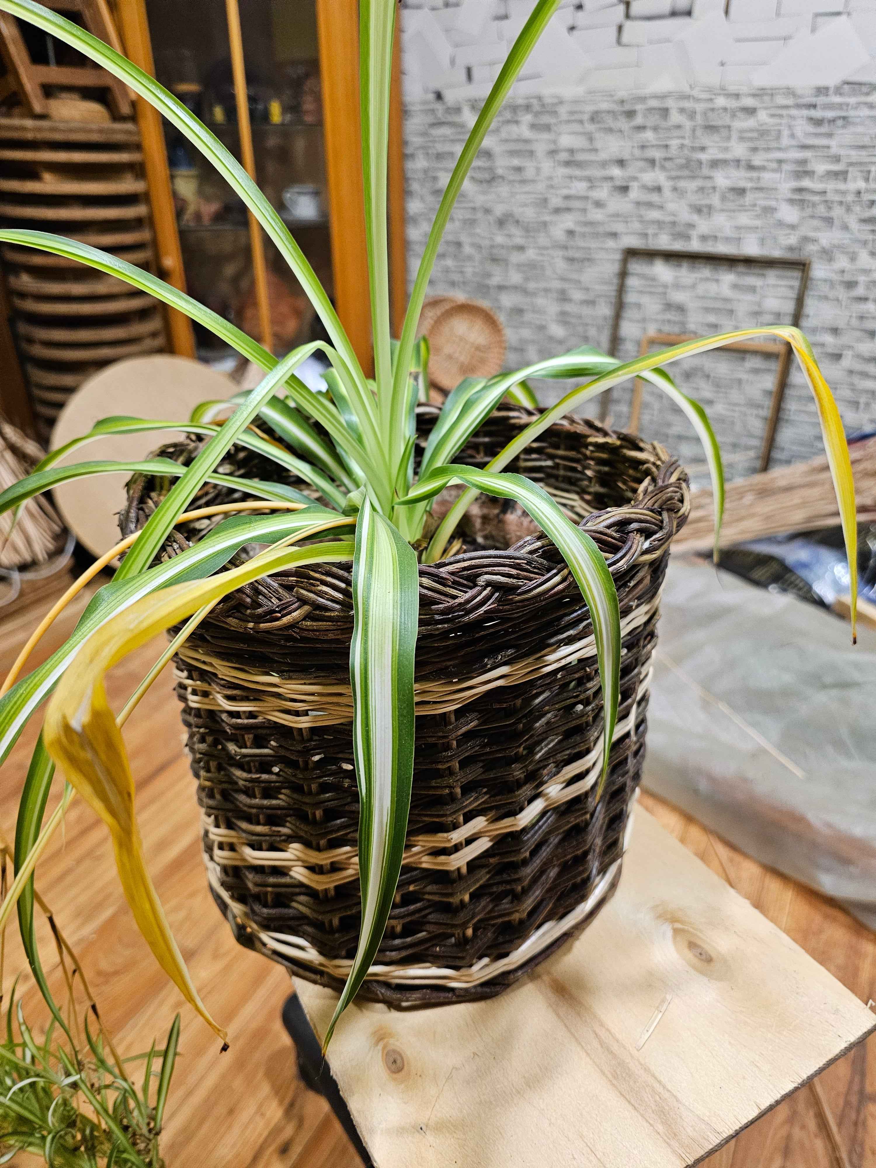 Wicker flower pot 043r - NaturelyWoven wicker - handmade