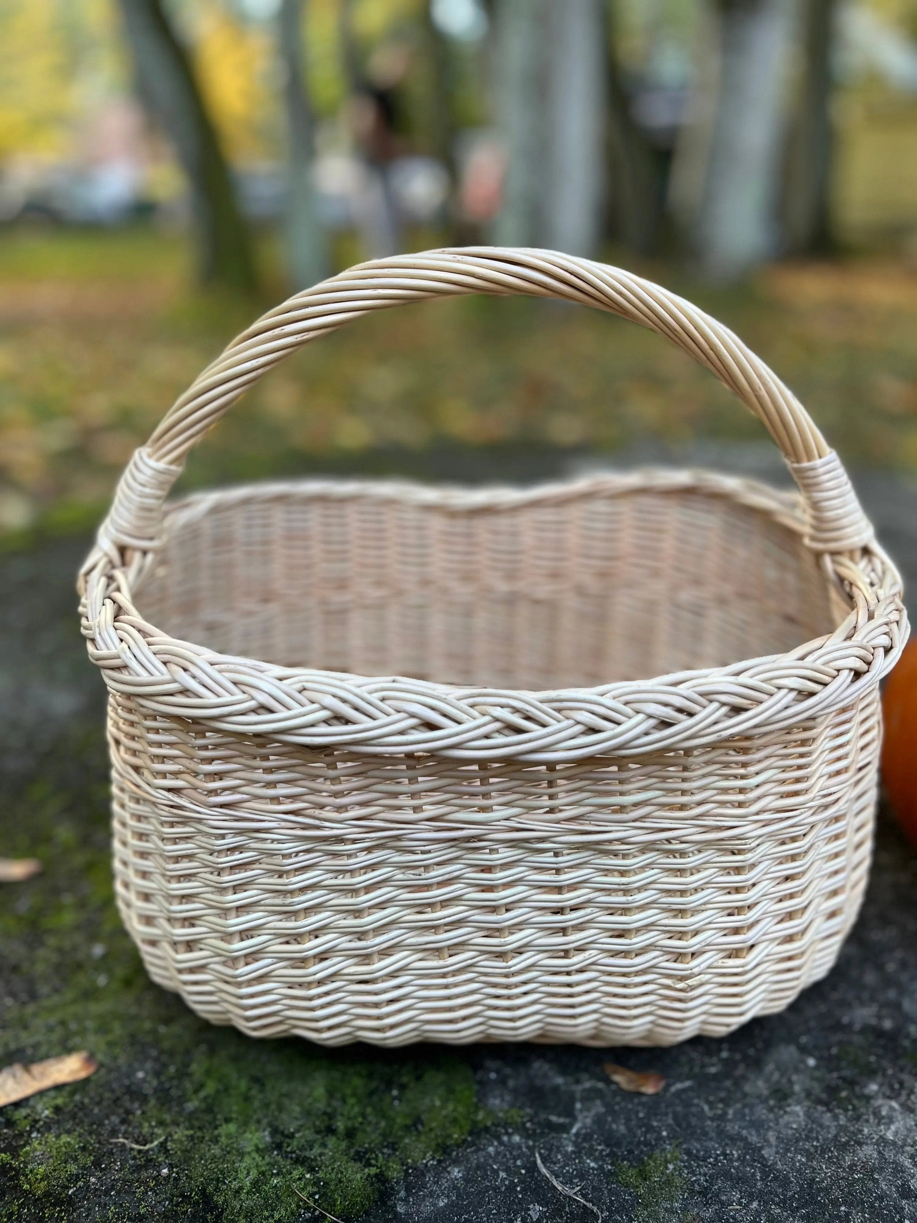 Wicker Oval Basket - Handmade Willow Basket with Braided Rim & Arched Handle - NaturelyWoven