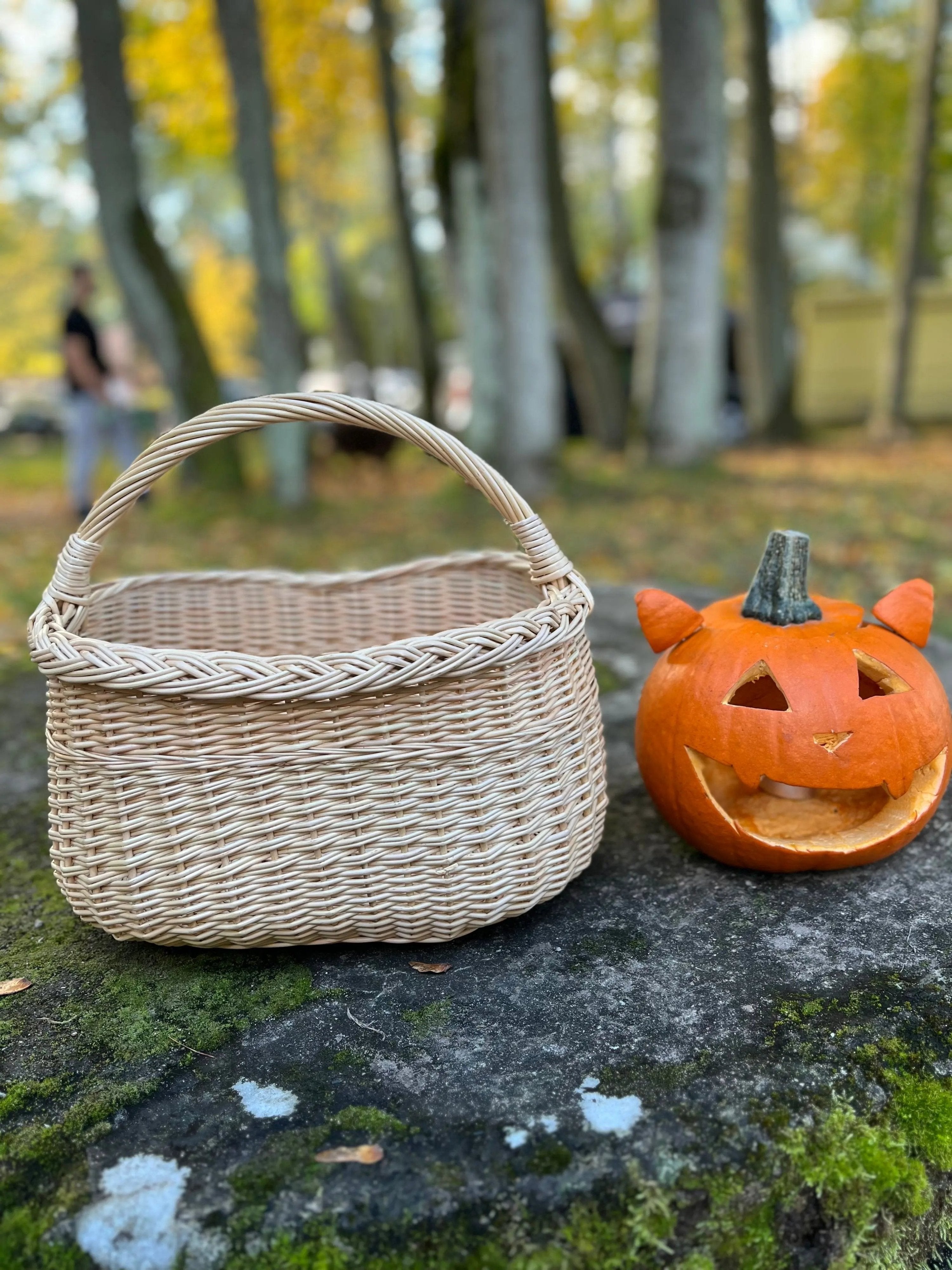 Wicker Oval Basket - Handmade Willow Basket with Braided Rim & Arched Handle - NaturelyWoven