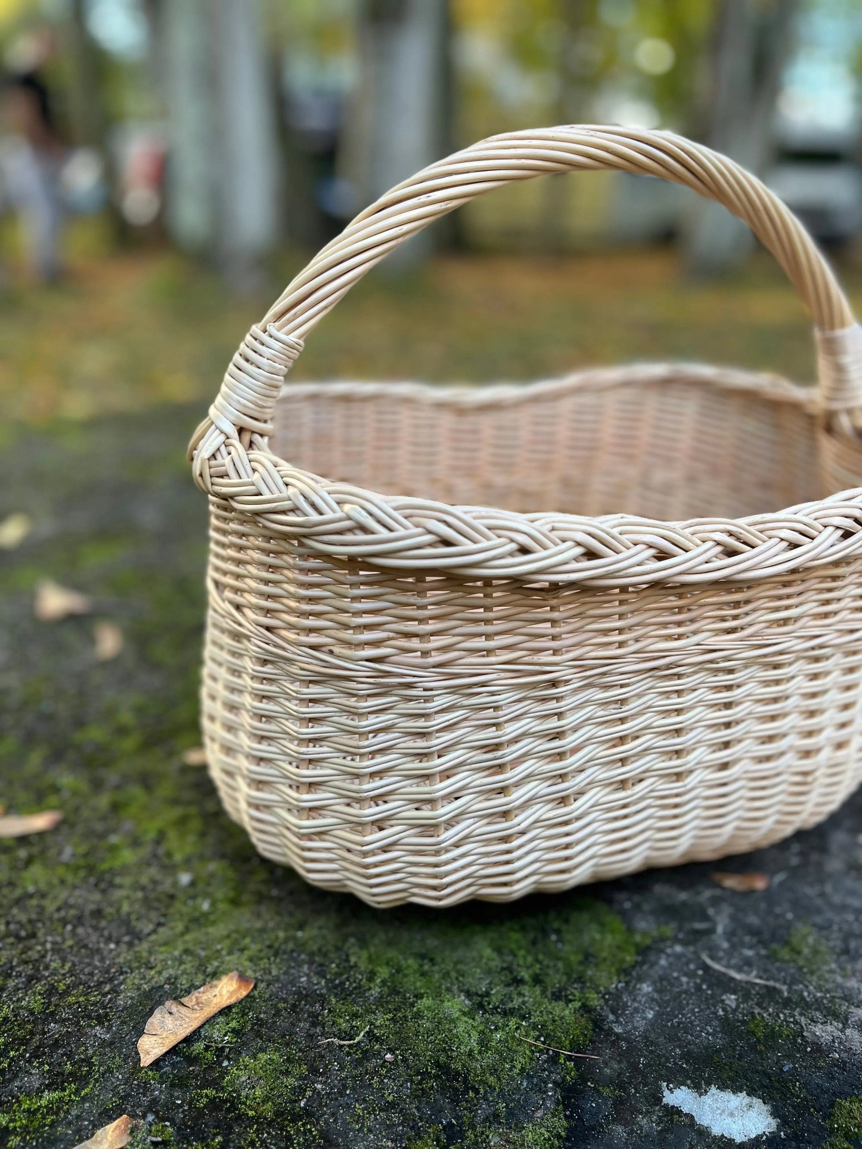 Wicker Oval Basket - Handmade Willow Basket with Braided Rim & Arched Handle - NaturelyWoven