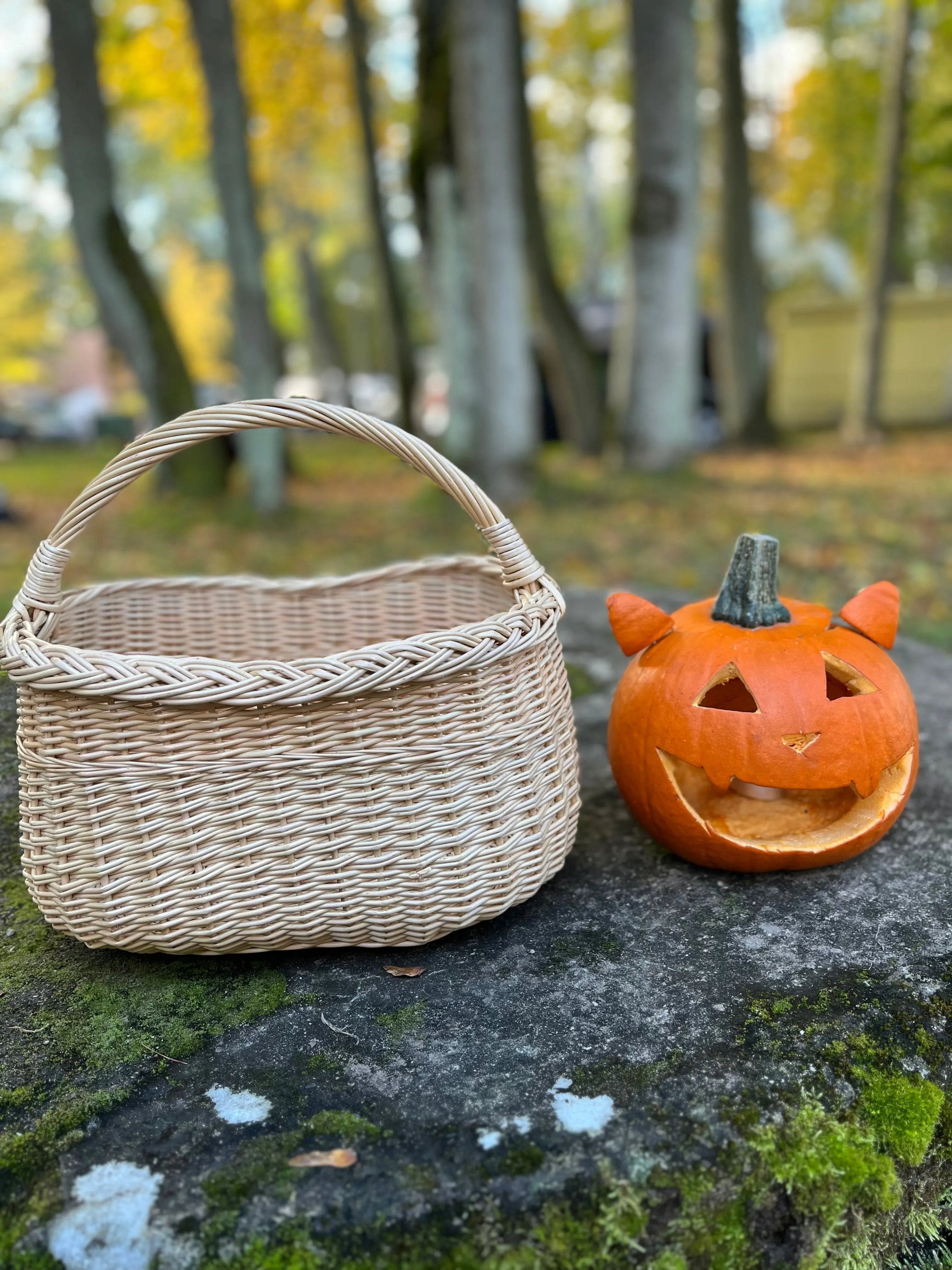 Wicker Oval Basket - Handmade Willow Basket with Braided Rim & Arched Handle - NaturelyWoven