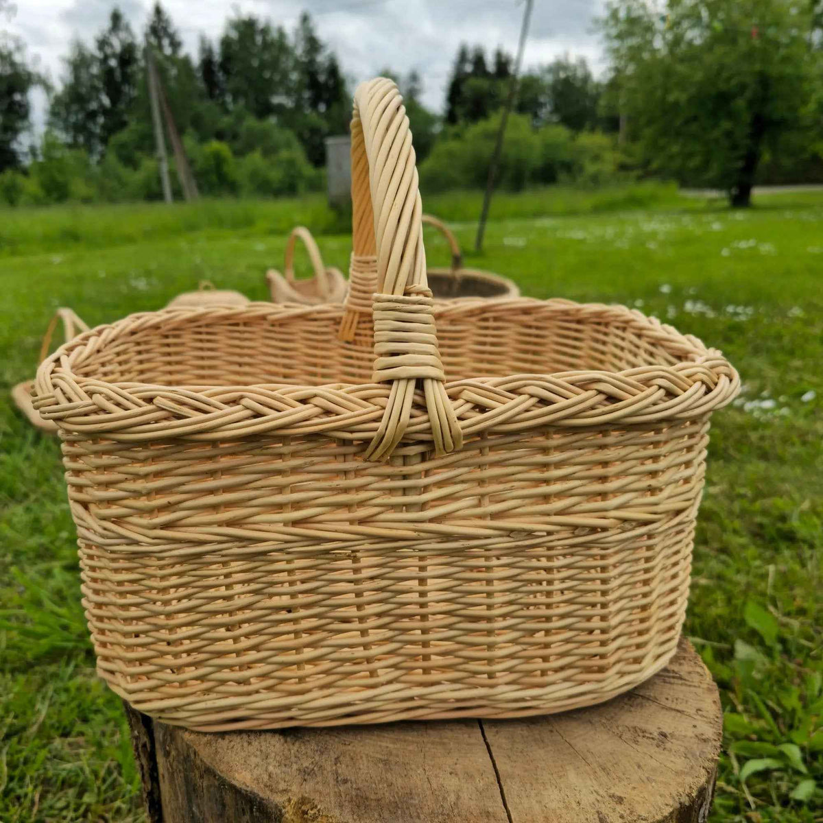 Stačiakampė vytelių pintinė su kasele pintu kraštu ir apvyniota rankena ant kelmo kaimo sode
