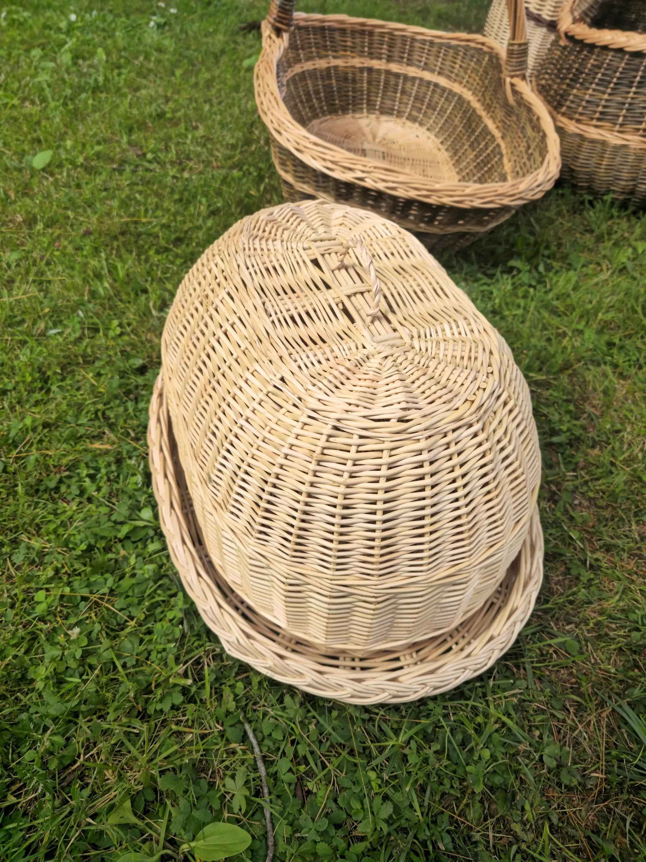 Padėklas su gaubtu — vytelių padėklas, 6 nuotrauka