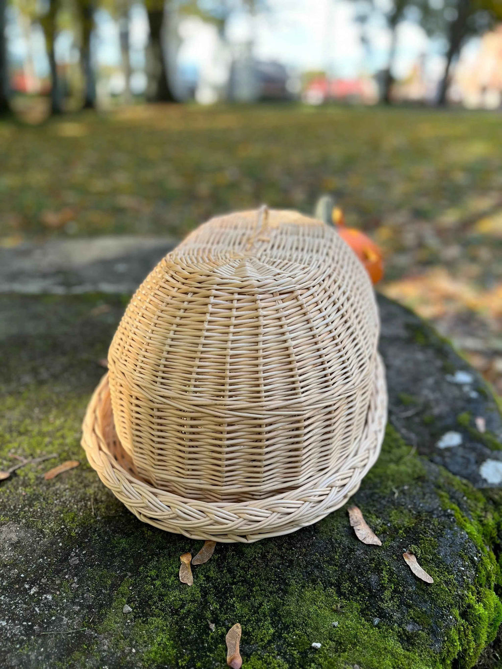 Padėklas su gaubtu — vytelių padėklas, 8 nuotrauka