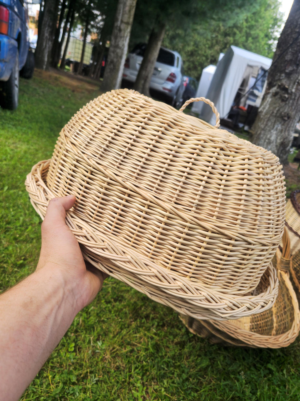 Padėklas su gaubtu — vytelių padėklas, 12 nuotrauka